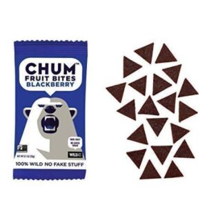 Chum Fruit Bites Blackberry 100% Real Fruit Snacks, No Sugar Added- .7oz
